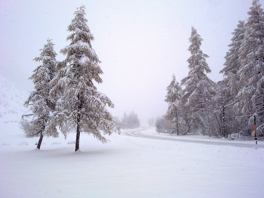 2010-10-26_pitztal_06