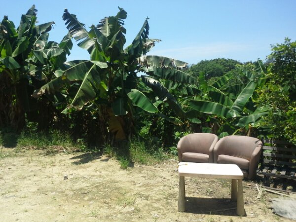 20130730_121650.jpg image