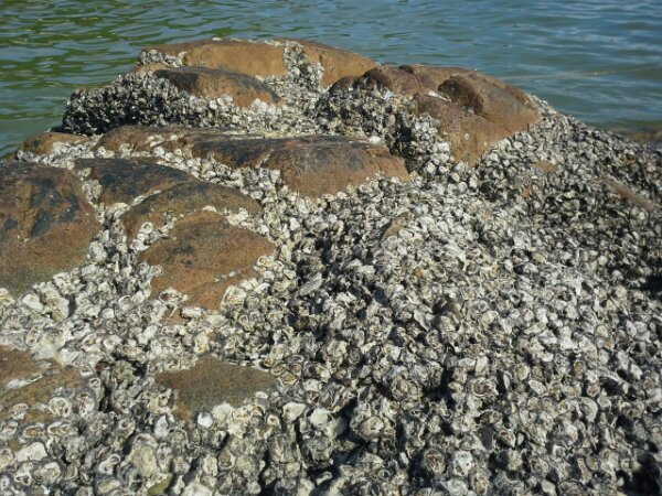 20130730_160245.jpg image