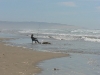 090827-PismoBeach